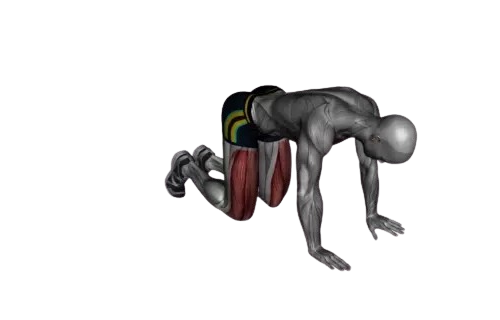 Exercise Image