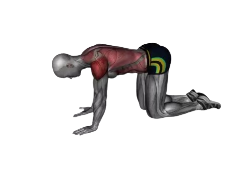 Exercise Image