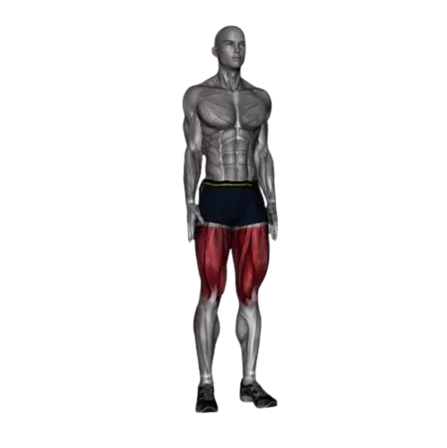 Exercise Image