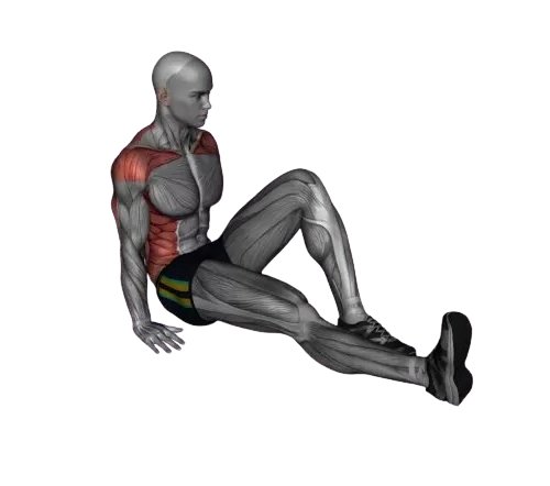 Exercise Image