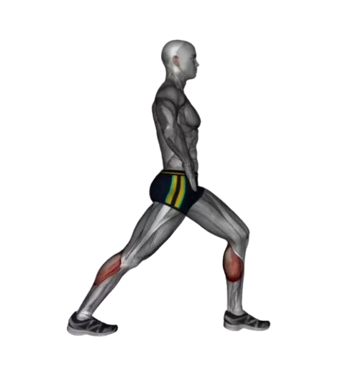 Exercise Image
