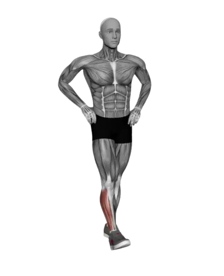 Exercise Image