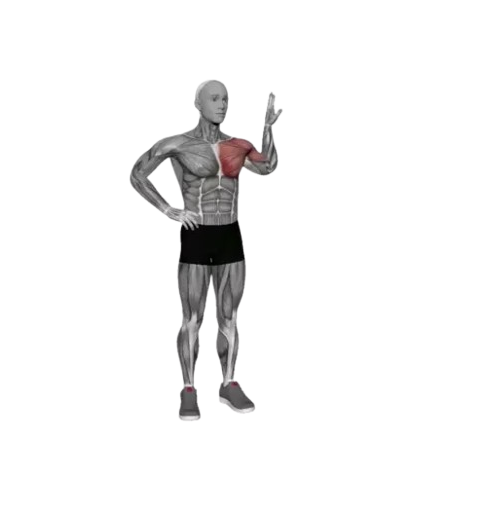 Exercise Image
